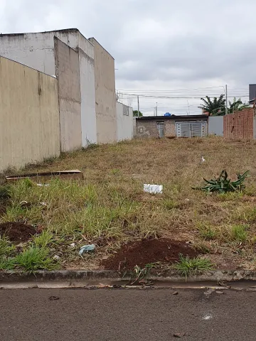 Sertaozinho Jardim Nova Europa Terreno Venda R$130.000,00  Area do terreno 250.00m2 