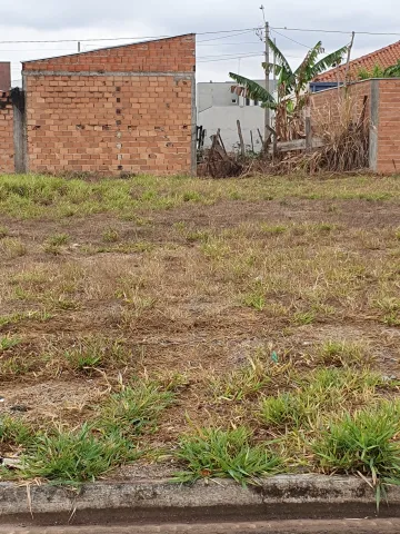 Sertaozinho Jardim Nova Europa Terreno Venda R$130.000,00  Area do terreno 250.00m2 